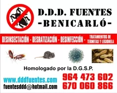 DDD FUENTES Colaborador CLUB DEPORTIVO BENICARLO